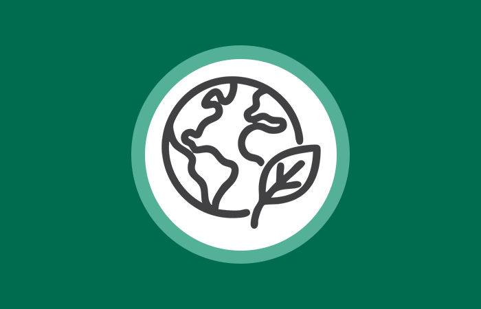 branch with three leaves on a teal background